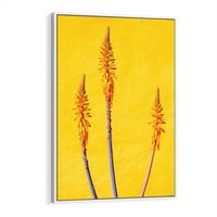 Obraz w ramie 50x70 - Radość Natury - kolor, kwiaty - rama biała