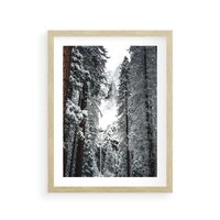 Plakat w ramie 40x50 - Cicha Magia Zimowego Lasu - zimowy las, ośnieżone drzewa - rama drewno