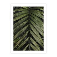 Plakat bez ramy 21x30 - W Liściach Ukryte - zdjęcie, fotografia