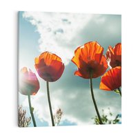 Obraz na płótnie 30x30 - Kwiaty pod niebem: piękno natury - kwiaty, niebo