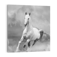 Obraz na płótnie 60x60 - Elegancja w Czarno-Białym - koń, biało