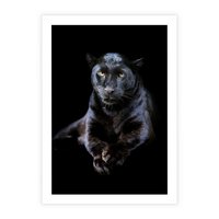 Plakat bez ramy 50x70 - Czarna pantera: majestat i siła - czarna, pantera