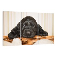 Obraz na płótnie 120x80 - Uroczy szczeniak w akcji - piesek, szczeniak