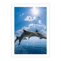 Plakat bez ramy 50x70 - Spotkanie z naturą - morze, delfiny