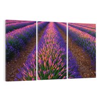 Obraz na płótnie 120x80 - Fioletowa Magia - pole, lawendy