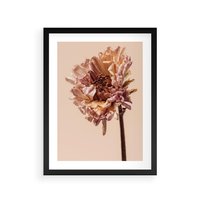 Plakat w ramie 40x50 - Delikatne piękno - suche, kwiaty - rama czarna
