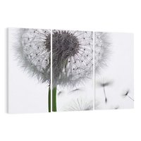 Obraz na płótnie 120x80 - Lekkość Przemijania - dmuchawiec, makro