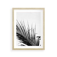 Plakat w ramie 40x50 - Sztuka Natury: Monochromatyczna Palma - palma, czarno białe zdjęcie - rama drewno