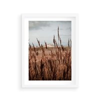 Plakat w ramie 30x40 - Wysokie Trawy w Górskim Krajobrazie - suche trawy, wysokie trawy - rama biała