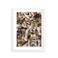 Plakat w ramie 30x40 - Delikatność Hortensji: Kompozycja Kwiatów w Beżu - hortensja, odcienie beżu - rama biała