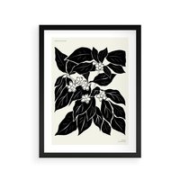 Plakat w ramie 30x40 - Ruchome szkicowe odbicia - czarno biała grafika, roślinność - rama czarna