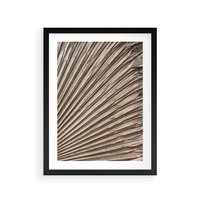 Plakat w ramie 30x40 - Liść Palmy w Wyjątkowej Kompozycji - suchy liść palmy, boho styl - rama czarna