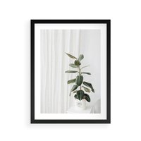 Plakat w ramie 40x50 - Kwiat w Bieli - kwiat w doniczce, białe wnętrze - rama czarna