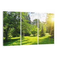 Obraz na płótnie 120x80 - Ogród: urok drzew i roślinności - ogród, drzewa