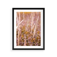 Plakat w ramie 50x70 - Sucha Trawa w Sierpniu - trawy, łąka - rama czarna