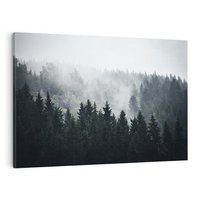 Obraz na płótnie 100x70 - Las w górach: mistyczna mgła - las, góry