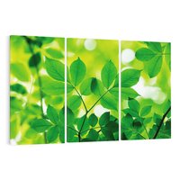 Obraz na płótnie 120x80 - Magia liści - liście, drzewo