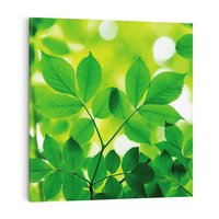 Obraz na płótnie 50x50 - Magia liści - liście, drzewo