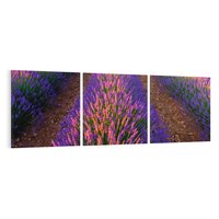 Obraz na płótnie 150x50 - Fioletowa Magia - pole, lawendy