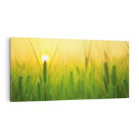 Obraz na płótnie 100x50 - Zboże w kłosach: Oda do plonów natury - zboże, kłos