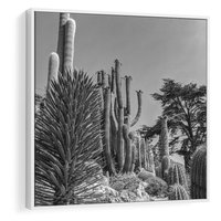 Obraz w ramie 50x50 - Pustynny Klimat - czarno białe zdjecie, pustynia - rama biała