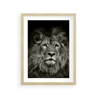 Plakat w ramie 40x50 - Moc lewego spojrzenia - lew, czarno - rama drewno