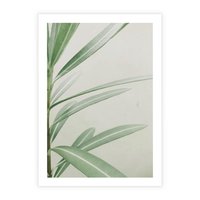 Plakat bez ramy 21x30 - Minimalistyczna Tropikalna Harmonia - tropikalna roślina, zielone liście