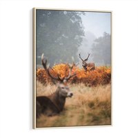 Obraz w ramie 80x120 - Malownicza Harmonia - jelenie, jesień - rama drewno