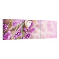 Obraz na płótnie 120x40 - Majestat lawendy: fioletowe pola - lawenda, fiolet