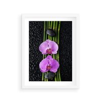 Plakat w ramie 30x40 - Japońskie Spa w Otoczeniu Storczyków - storczyk, spa - rama biała