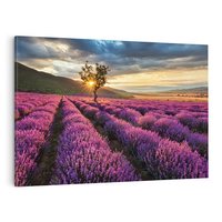 Obraz na płótnie 120x80 - Lawenda: Pachnący ogród natury - lawenda, kwiaty