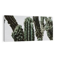 Obraz na płótnie 100x50 - Boho oaza wśród kaktusów - kaktusy, pustynia