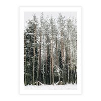 Plakat bez ramy 50x70 - Sypiący Śnieg - las w zimie, drzewa pod śniegiem