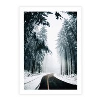 Plakat bez ramy 40x50 - Droga przez Zimowy Las - drzewa, śnieg