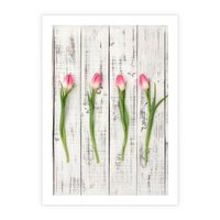 Plakat bez ramy 30x40 - Kwintesencja Piękna - kwiaty, tulipany