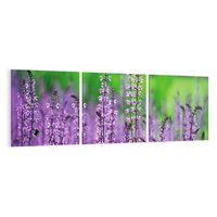 Obraz na płótnie 120x40 - Lawenda magia purpury - lawenda, kwiaty