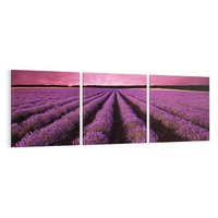 Obraz na płótnie 150x50 - Pola lawendy w pełnym rozkwicie - Lawenda, krajobraz
