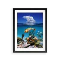 Plakat w ramie 30x40 - Podwodna rafa koralowa: kolorowy oceanowy świat - rafa, koralowa - rama czarna