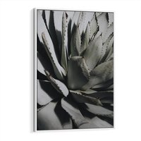 Obraz w ramie 80x120 - Sukulenty wśród kaktusów - sukulenty, kaktusy - rama biała