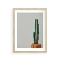 Plakat w ramie 30x40 - Zieleń i Subtelność - kaktusy, liście - rama drewno
