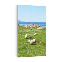 Obraz na płótnie 50x70 - Górskie Owce - góry, owce
