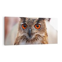 Obraz na płótnie 120x60 - Mądra sowa w locie - sowa, ptak