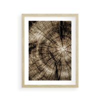 Plakat w ramie 50x70 - Natura Pod Lupą - pień drzewa, przekrój - rama drewno