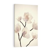 Obraz na płótnie 50x70 - Elegancja Natury - magnolia, białe