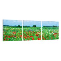 Obraz na płótnie 150x50 - Kolorowa łąka pełna maku - łąka, maki
