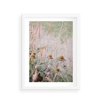 Plakat w ramie 30x40 - Przyroda w Pełnym Blasku: Kolorowa łąka z Kwiatami - łąka, kwiaty na łące - rama biała