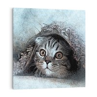 Obraz na płótnie 40x40 - Kot w abstrakcyjnym otoczeniu - kot, sztuka
