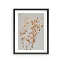 Plakat w ramie 50x70 - Delikatne gipsówki - gipsówka, suche - rama czarna