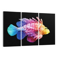 Obraz na płótnie 120x80 - Tęczowa Piękność - kolorowa tęczowa ryba, mocny akcent na czarnym tle