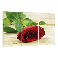 Obraz na płótnie 120x80 - delikatność kwiatu - róża, kwiat